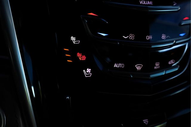 2020 CADILLAC ESCALADE ESV 2WD 4dr Platinum - 22918787 - 15