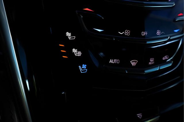 2020 CADILLAC ESCALADE ESV 2WD 4dr Platinum - 22918787 - 16