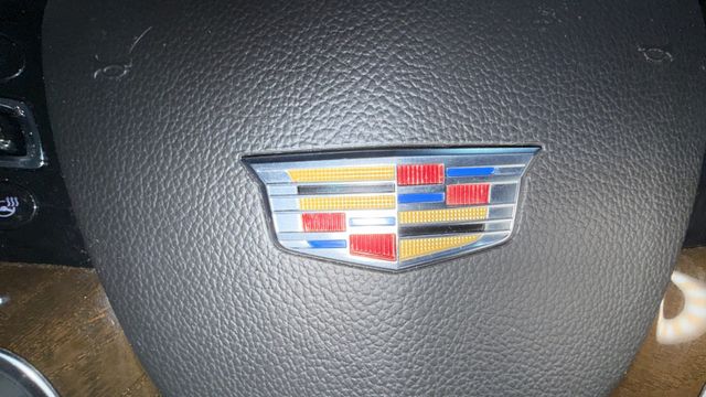 2020 Cadillac Escalade ESV 2WD 4dr Premium Luxury - 22983185 - 94