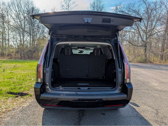 2020 Cadillac Escalade ESV 4WD 4dr Luxury - 22995178 - 6