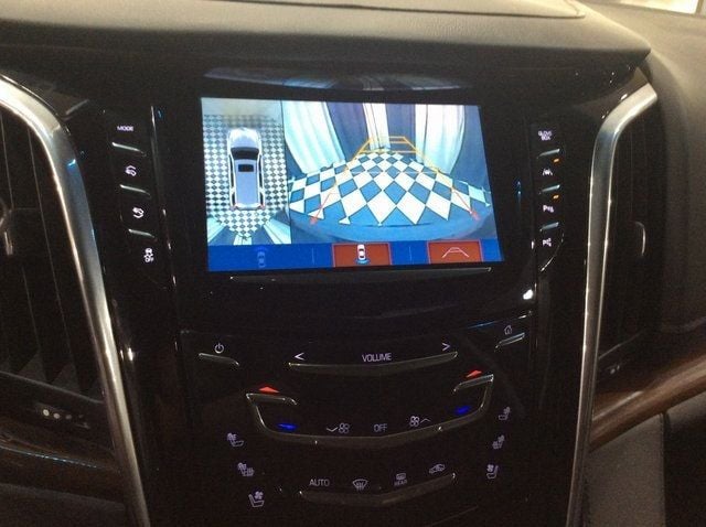 2020 Cadillac Escalade ESV 4WD 4dr Luxury - 22753539 - 13