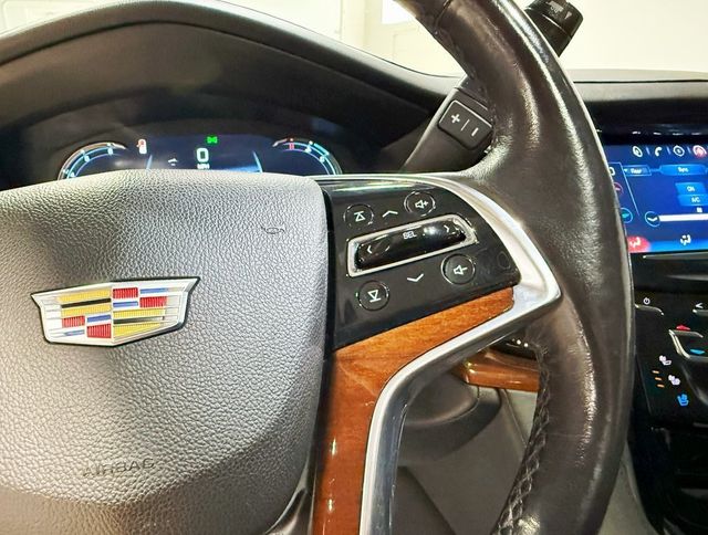 2020 Cadillac Escalade ESV 4WD 4dr Premium Luxury - 22926018 - 10