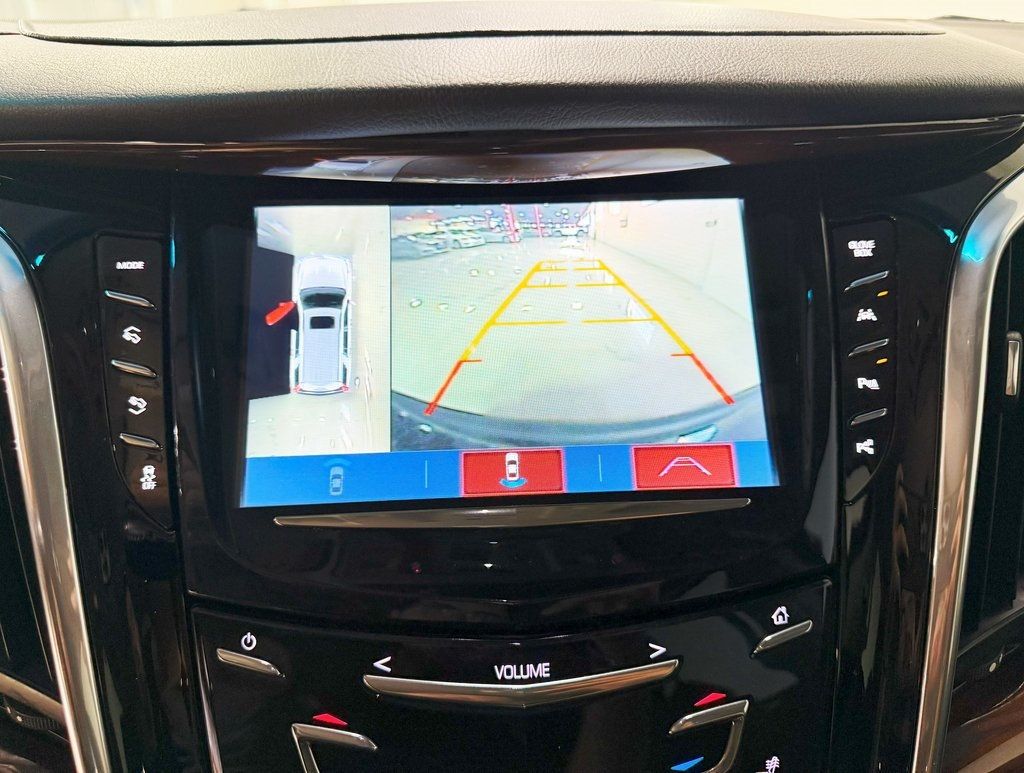 2020 Cadillac Escalade ESV 4WD 4dr Premium Luxury - 22926018 - 20