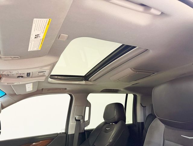 2020 Cadillac Escalade ESV 4WD 4dr Premium Luxury - 22926018 - 31