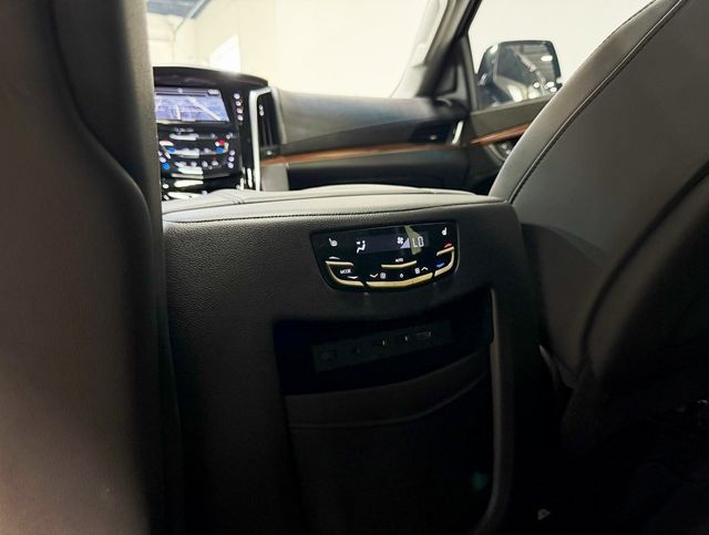 2020 Cadillac Escalade ESV 4WD 4dr Premium Luxury - 22926018 - 38