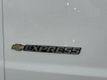 2020 Chevrolet Express Cargo Van RWD 2500 135" - 23005509 - 28