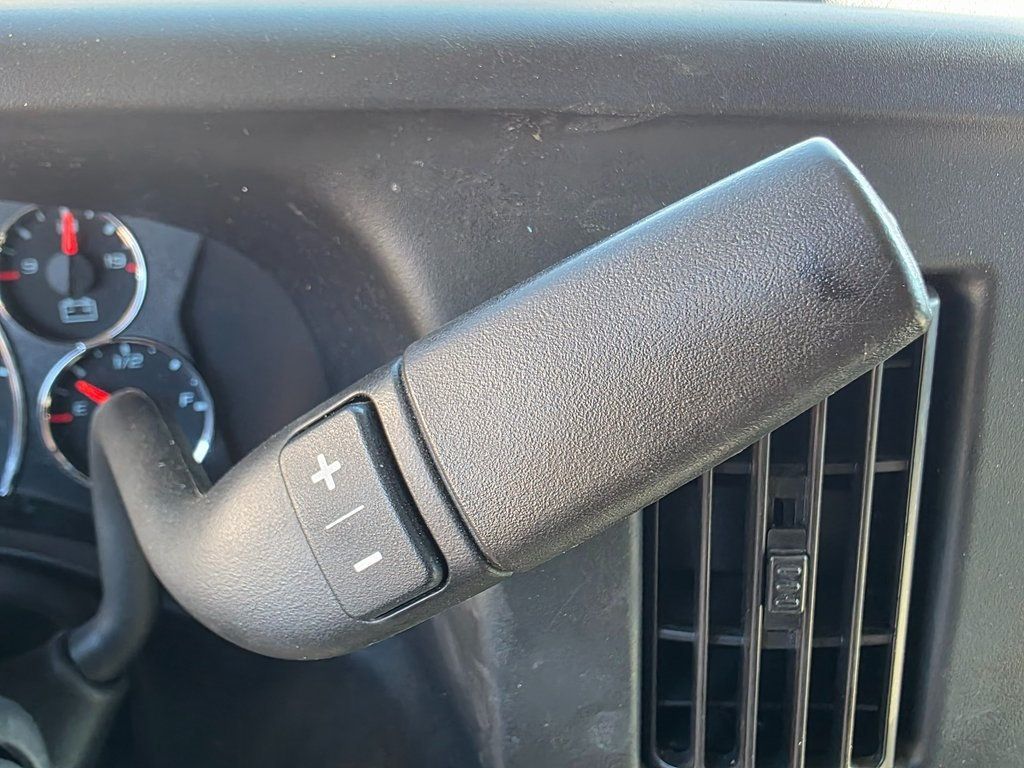 2020 Chevrolet Express Passenger RWD 3500 155" LT - 22902649 - 28