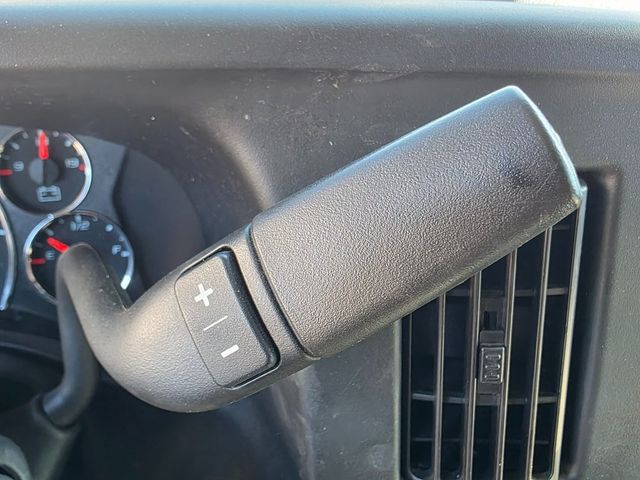 2020 Chevrolet Express Passenger RWD 3500 155" LT - 22902649 - 28