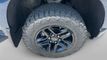 2020 Chevrolet Silverado 1500 4WD Crew Cab 147" LT Trail Boss - 23066213 - 1