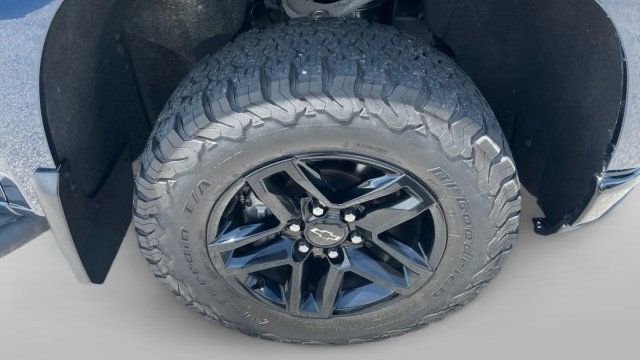 2020 Chevrolet Silverado 1500 4WD Crew Cab 147" LT Trail Boss - 23066213 - 1