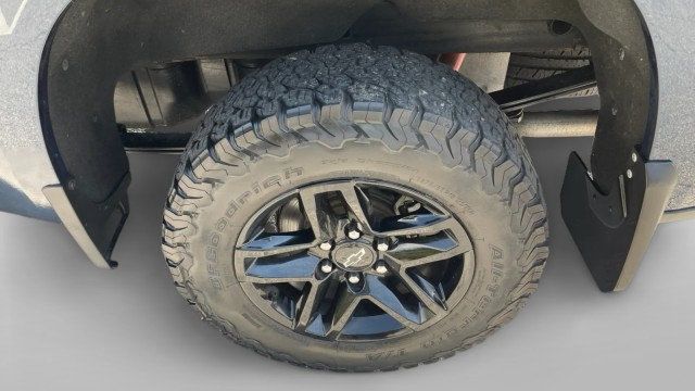 2020 Chevrolet Silverado 1500 4WD Crew Cab 147" LT Trail Boss - 23066213 - 3