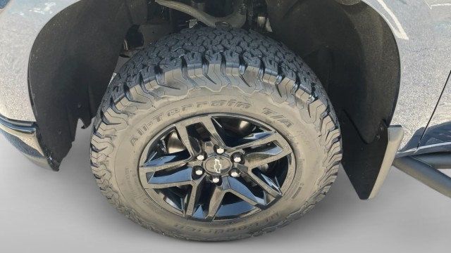 2020 Chevrolet Silverado 1500 4WD Crew Cab 147" LT Trail Boss - 23066213 - 4