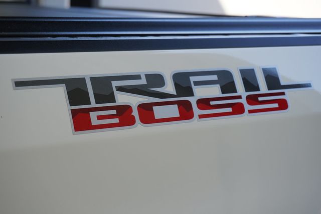 2020 Chevrolet Silverado 1500 4WD Crew Cab 147" LT Trail Boss - 22935413 - 8