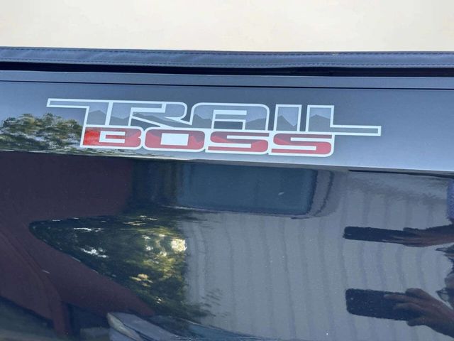 2020 Chevrolet Silverado 1500 LT Trail Boss 4x4 4dr Crew Cab 5.8 ft. SB - 23036772 - 42