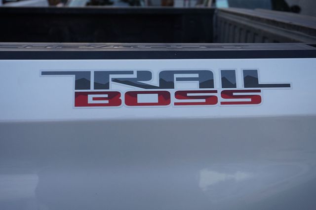 2020 Chevrolet Silverado 1500 LT TRAIL BOSS, 4X4, PREMIUM WHEELS, RUNNING BOARDS, TOW PKG - 22966865 - 11