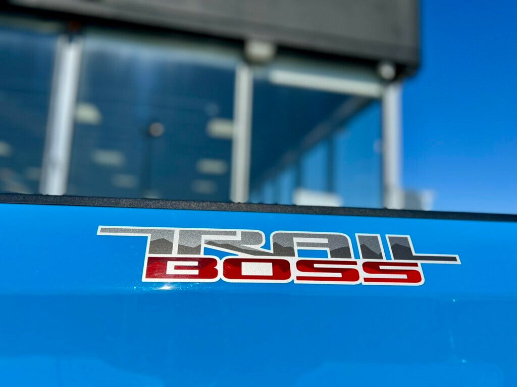 2020 Chevrolet Silverado 1500 TRAIL BOSS CUST - 22990495 - 10