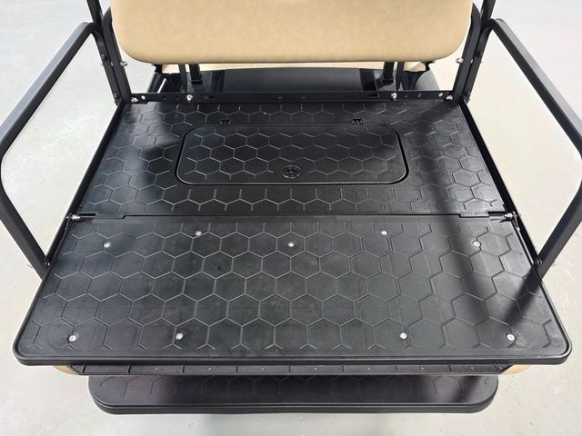 2020 E-Z-GO RXV ELiTE  - 22990589 - 31