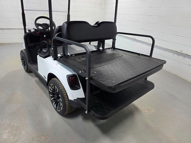 2020 E-Z-GO RXV ELiTE  - 22990597 - 31