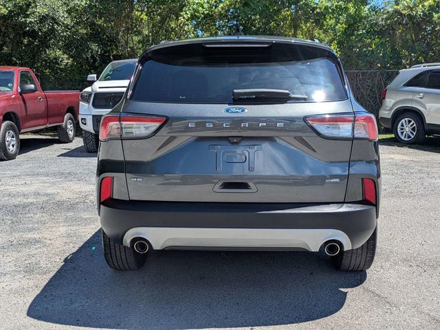 2020 Ford Escape  - 23029313 - 4