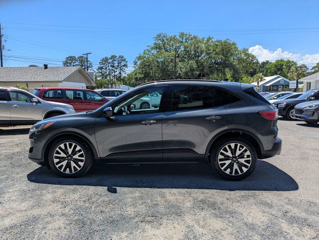 2020 Ford Escape  - 23029313 - 6