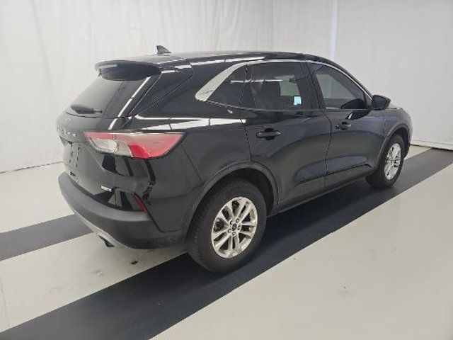 2020 Ford Escape SE AWD - 23036236 - 5
