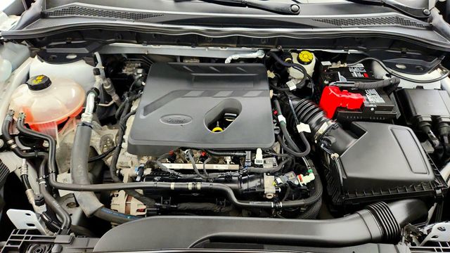 2020 Ford Escape SE AWD - 23033702 - 25