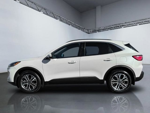 2020 Ford Escape SEL AWD - 23073396 - 1