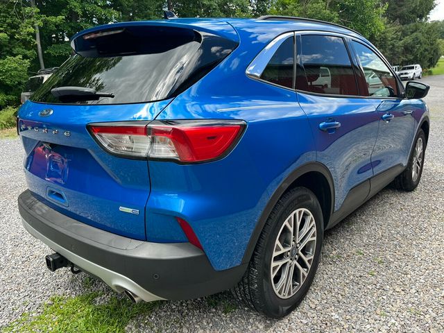 2020 Ford Escape SEL AWD - 23043153 - 4