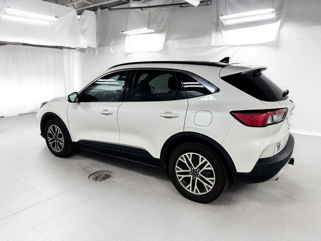 2020 Ford Escape SEL AWD - 23051924 - 2