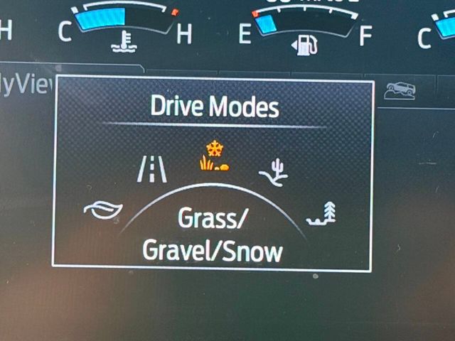 2020 Ford Expedition Max Limited 4x4 - 23013482 - 53