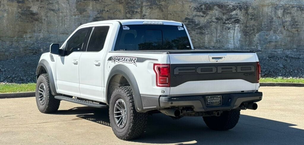2020 Ford F-150 2020 FORD F-150 RAPTOR - 22931483 - 2