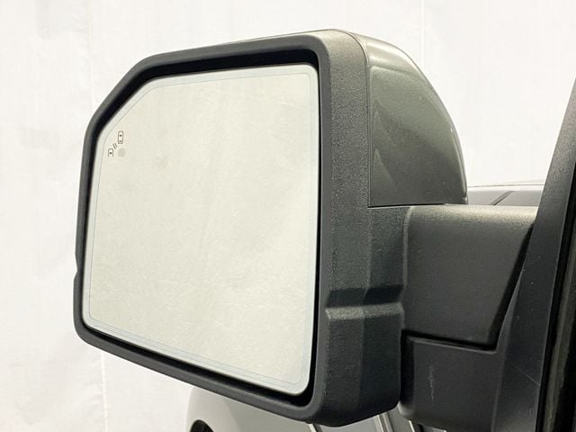 2020 Ford F-150 Raptor 4WD SuperCrew 5.5' Box - 22982463 - 19