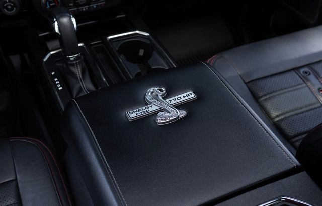 2020 Ford F-150 SHELBY SUPERCHARGED SNAKE - 23025269 - 15