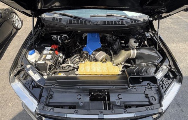 2020 Ford F-150 SHELBY SUPERCHARGED SNAKE - 23025269 - 6