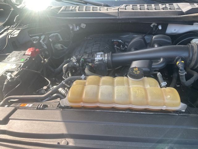 2020 Ford F-150 SUPER CAB - 23024591 - 15