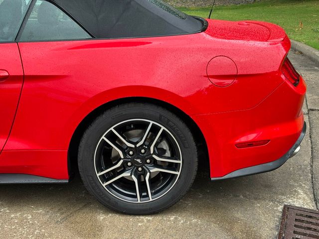 2020 Ford Mustang  - 23030644 - 29