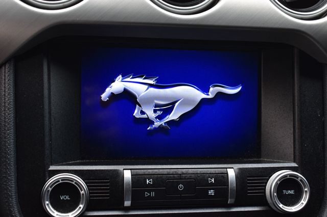 2020 Ford Mustang EcoBoost Convertible - 23030115 - 30
