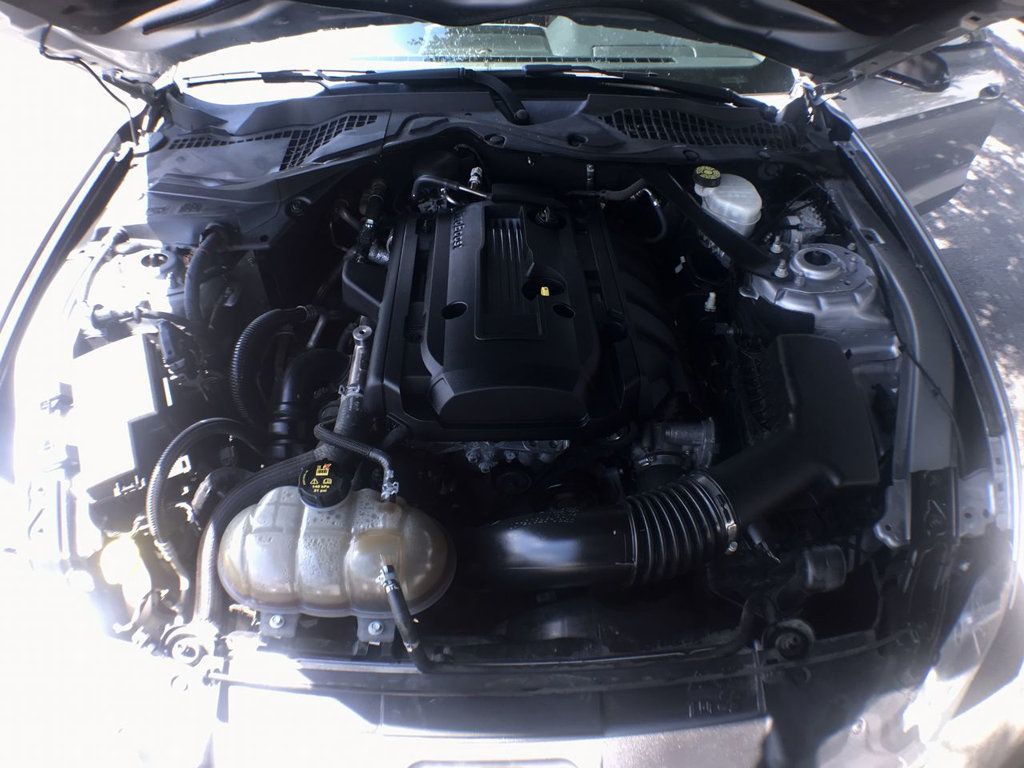 2020 Ford Mustang EcoBoost Convertible photo 4