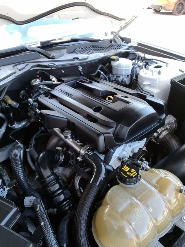 2020 Ford Mustang EcoBoost Fastback - 23034727 - 23