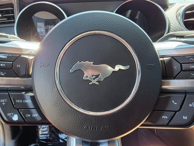 2020 Ford Mustang EcoBoost Fastback - 22901454 - 24