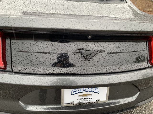 2020 Ford Mustang EcoBoost Fastback - 22803471 - 13