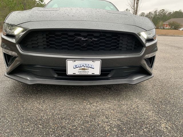 2020 Ford Mustang EcoBoost Fastback - 22803471 - 15