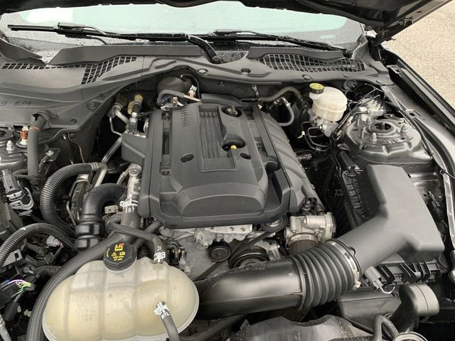 2020 Ford Mustang EcoBoost Fastback - 22803471 - 16