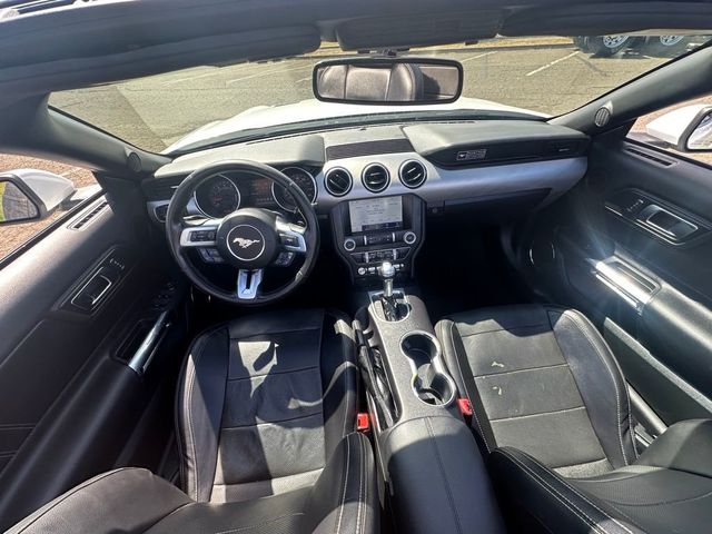 2020 Ford Mustang EcoBoost Premium Convertible - 22563742 - 13