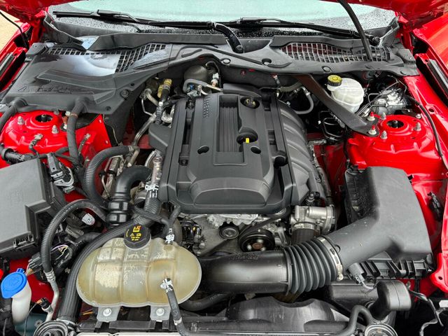 2020 Ford Mustang EcoBoost Premium Convertible - 23030644 - 32