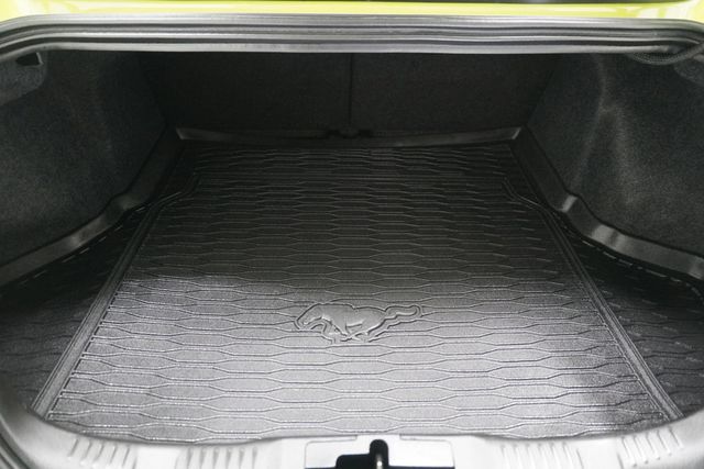 2020 Ford Mustang GT Fastback - 23007455 - 25