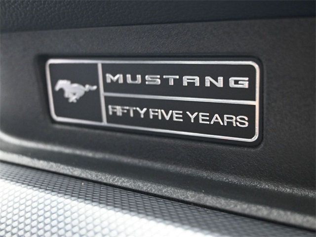 2020 Ford Mustang GT Fastback - 22891905 - 12