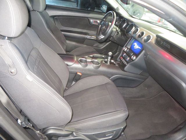 2020 Ford Mustang GT FASTBACK MUSTANG EXTRA CLEAN 6 SPEED MANUAL TRANNY  - 23091987 - 19
