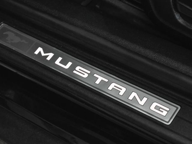 2020 Ford Mustang GT Premium - 23075636 - 10