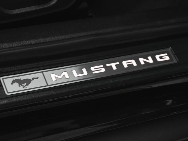 2020 Ford Mustang GT Premium - 23075636 - 11